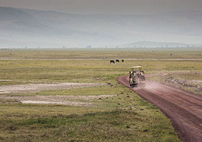 6 Day Migration Safari