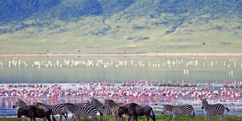 Ngorongoro Crater