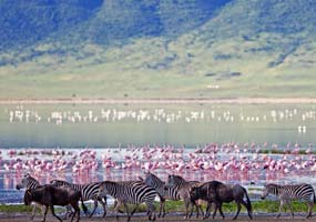 Ngorongoro Crater