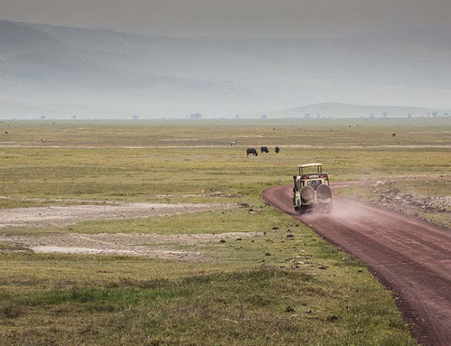 MIGRATION SAFARI