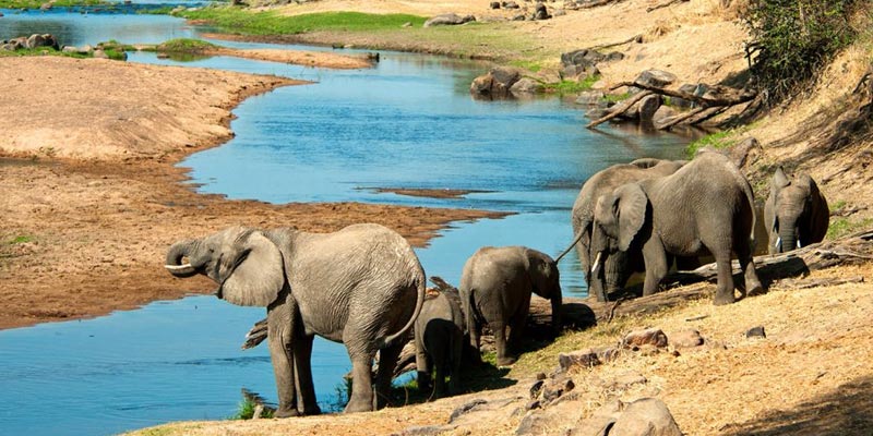 Ruaha National Park