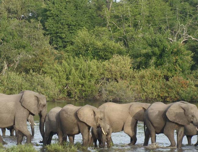 Selous Game Reserve