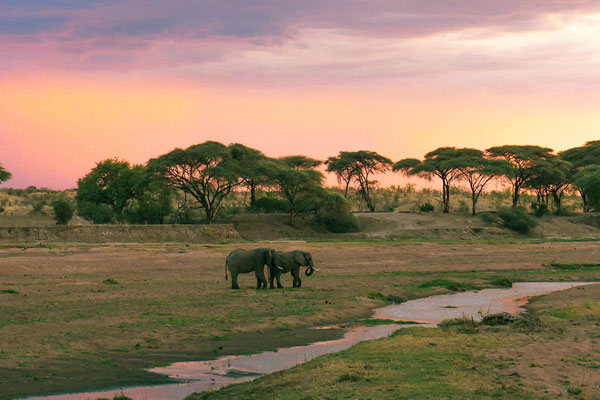 RUAHA NATIONAL PARK