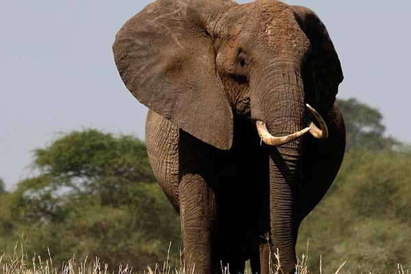 MKOMAZI NATIONAL PARK