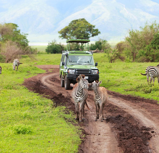 Tanzania Tour 